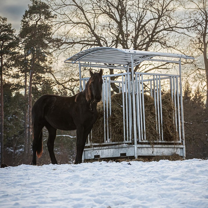 Foderhäck med gallergrind för häst, 8 platser