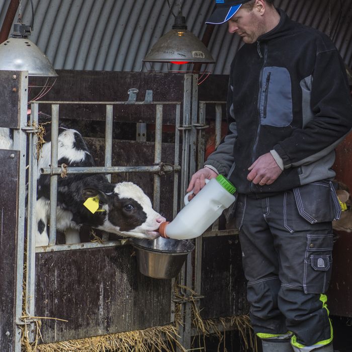 Mjölkflaska till kalv, 4,0 l med mjölknapp