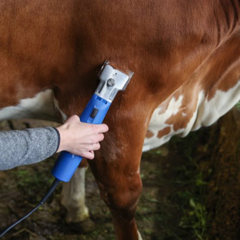 Klippmaskin för nötkreatur, Aesculap Econom II