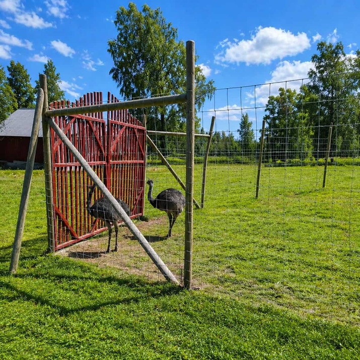 Viltstängsel 100 m x 2.0 m x 2 mm