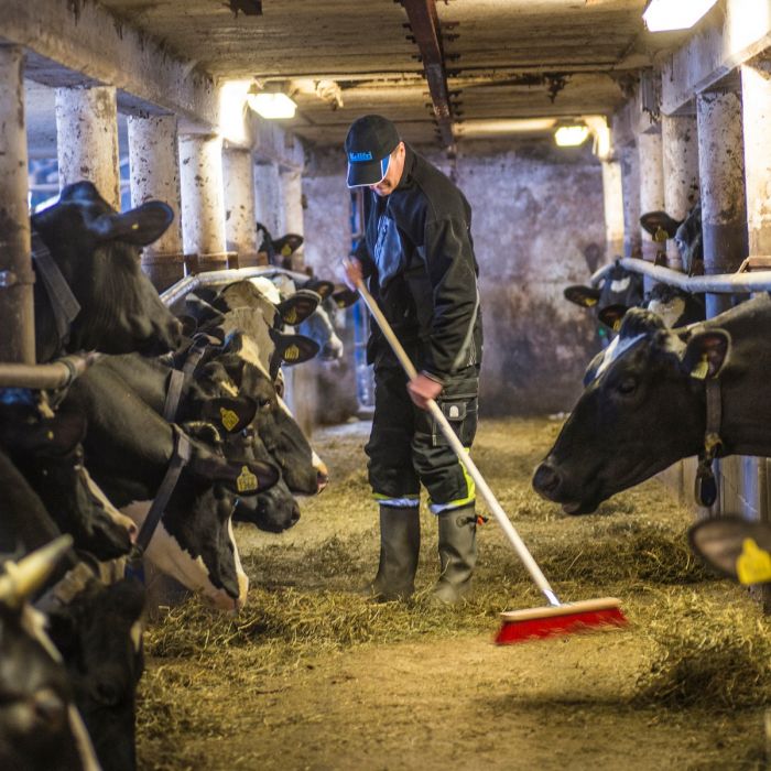 Kvast med skafthållare i metall, 80 cm