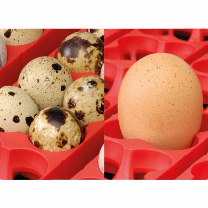 Äggkläckningsmaskin för 49 ägg, ET 549A Biomaster, automatisk vändning