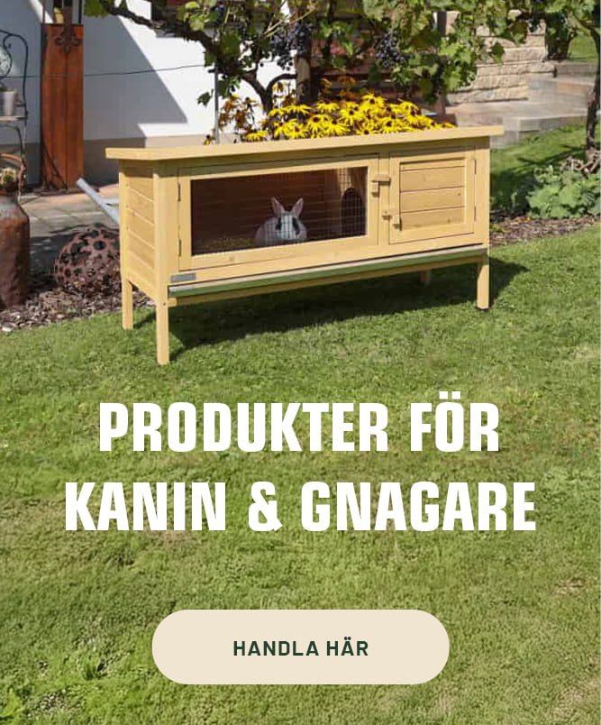Kaninbur 320x386 LB.jpg