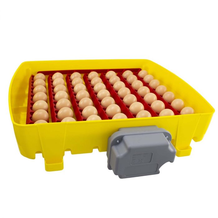 Äggkläckningsmaskin för 49 ägg, ET 549A Biomaster, automatisk vändning