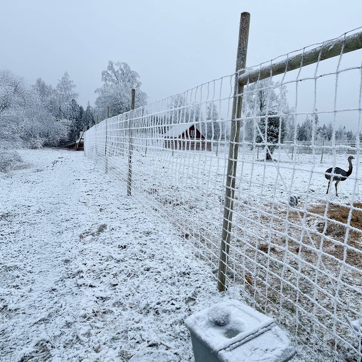 Viltstängsel 100 m x 2.0 m x 2 mm