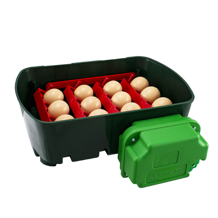 Äggkläckningsmaskin för 12 ägg, ET 512A, automatisk vändning